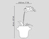 Scheme Vase Phalenopsis VGnewtrend Home Decor 1141373.95 Contemporary / Modern